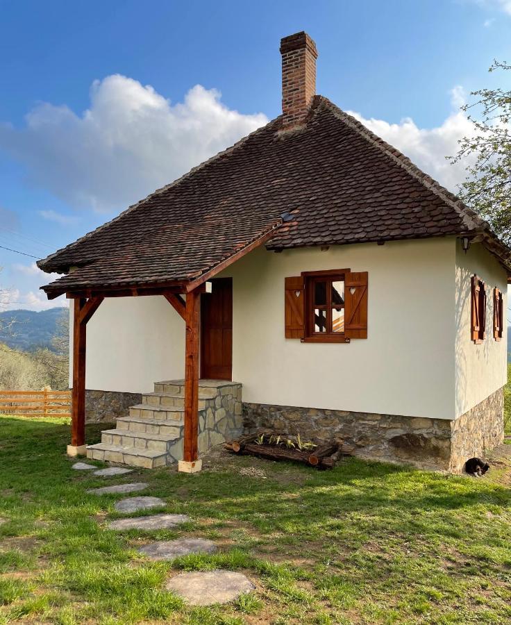 Rudnicki Eko Breg Βίλα Rudnik Εξωτερικό φωτογραφία