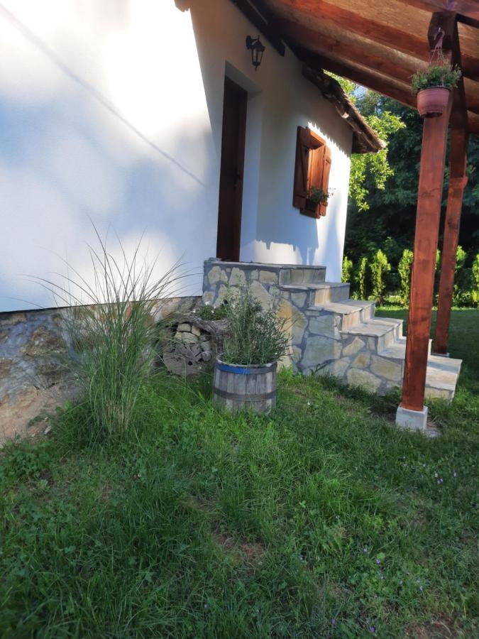 Rudnicki Eko Breg Βίλα Rudnik Εξωτερικό φωτογραφία