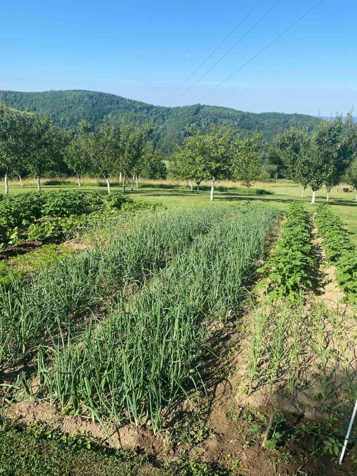 Rudnicki Eko Breg Βίλα Rudnik Εξωτερικό φωτογραφία